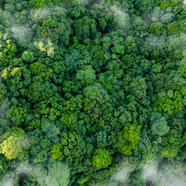 Sustainability
